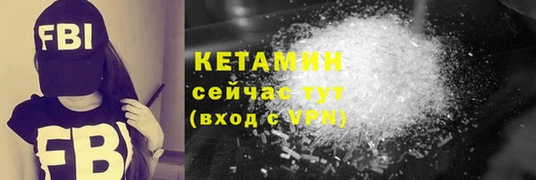 индика Медвежьегорск
