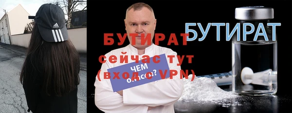 индика Медвежьегорск