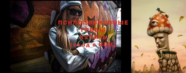 первитин Мегион
