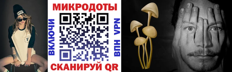 Псилоцибиновые грибы Psilocybe  купить наркотик  Новоалександровск 
